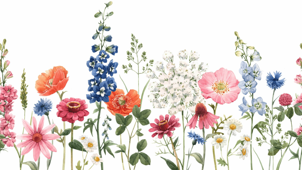 Летние цветы связка сине белое рисунок