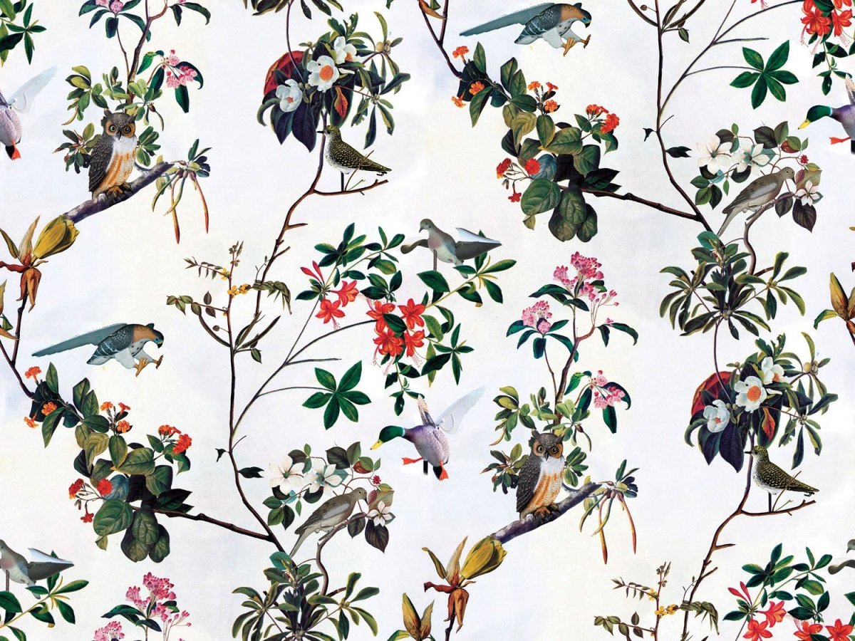 Принты с птицами