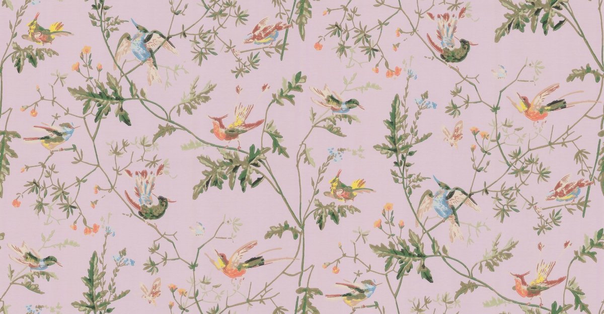 Обои с попугаями для стен