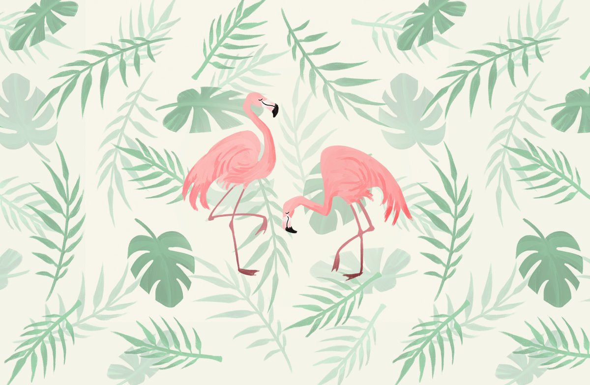 Фон Фламинго