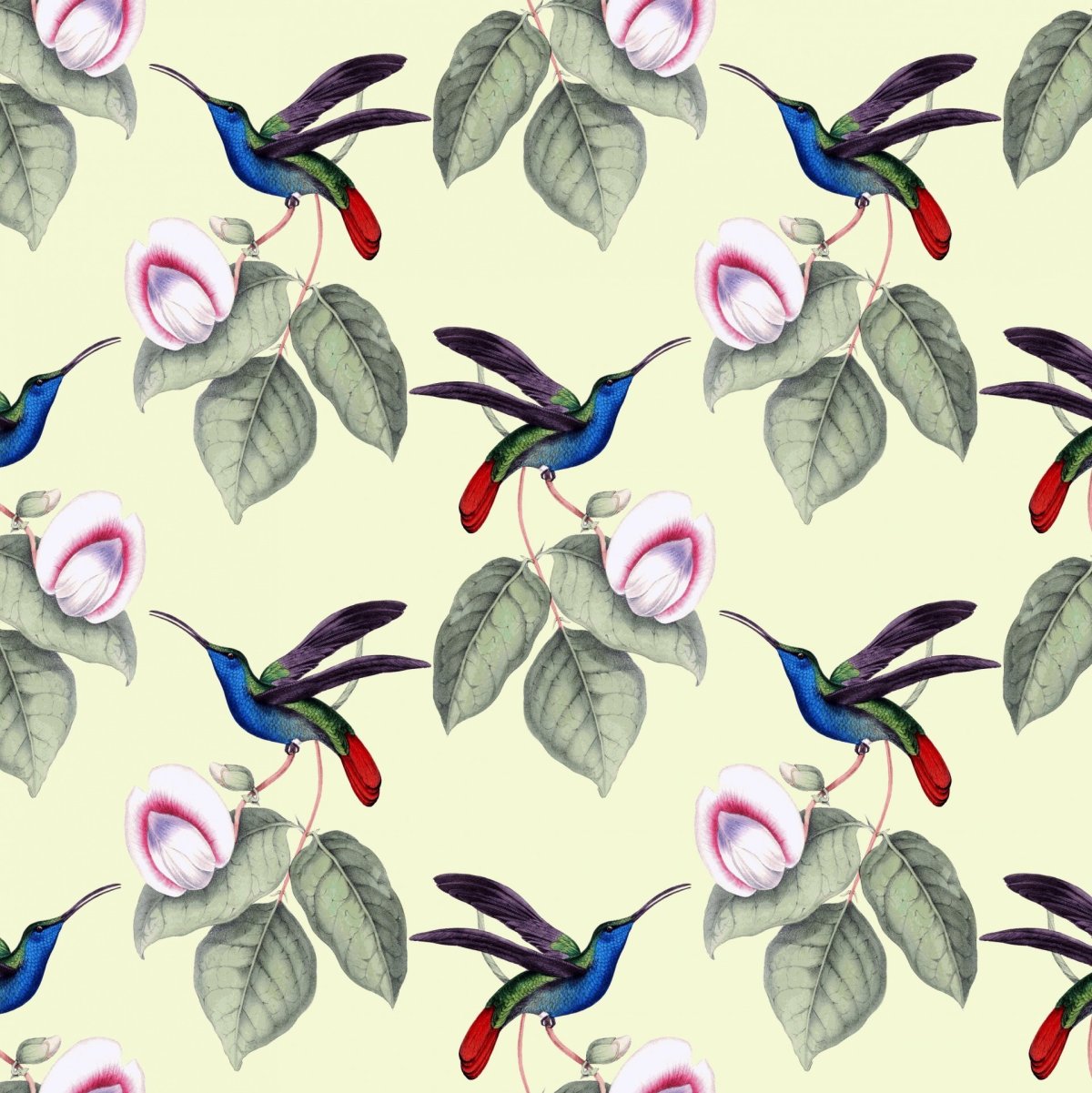 Обои с птичками