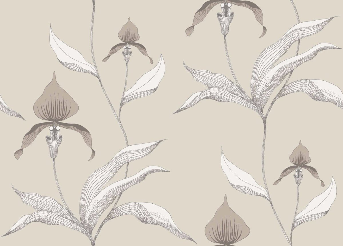 Обои Cole son коллекция Contemporary restyled