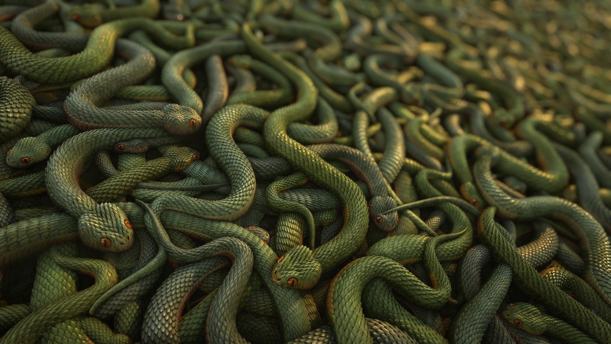 Обои со змеями на стену