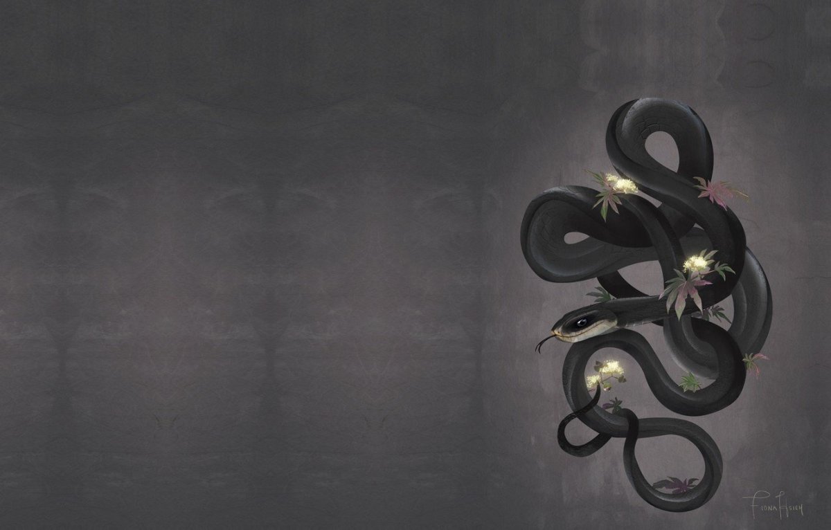 Змеи Минимализм