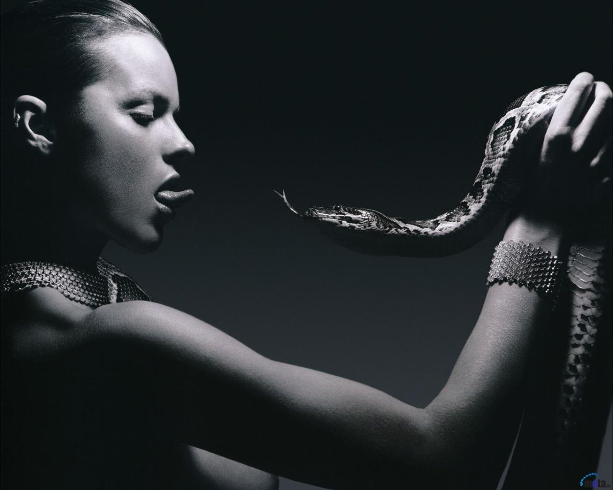 Шэннон Стюарт снимок со змеями