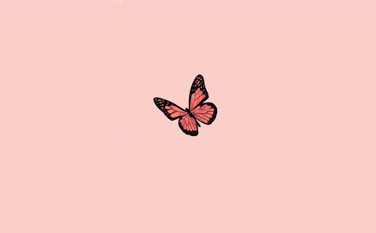 Обои на ноутбук бабочки