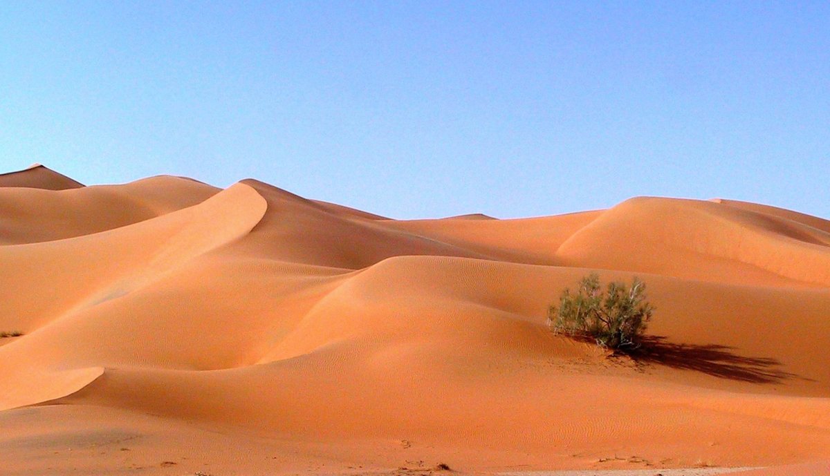 Барханы Оазис Саудовская Аравия