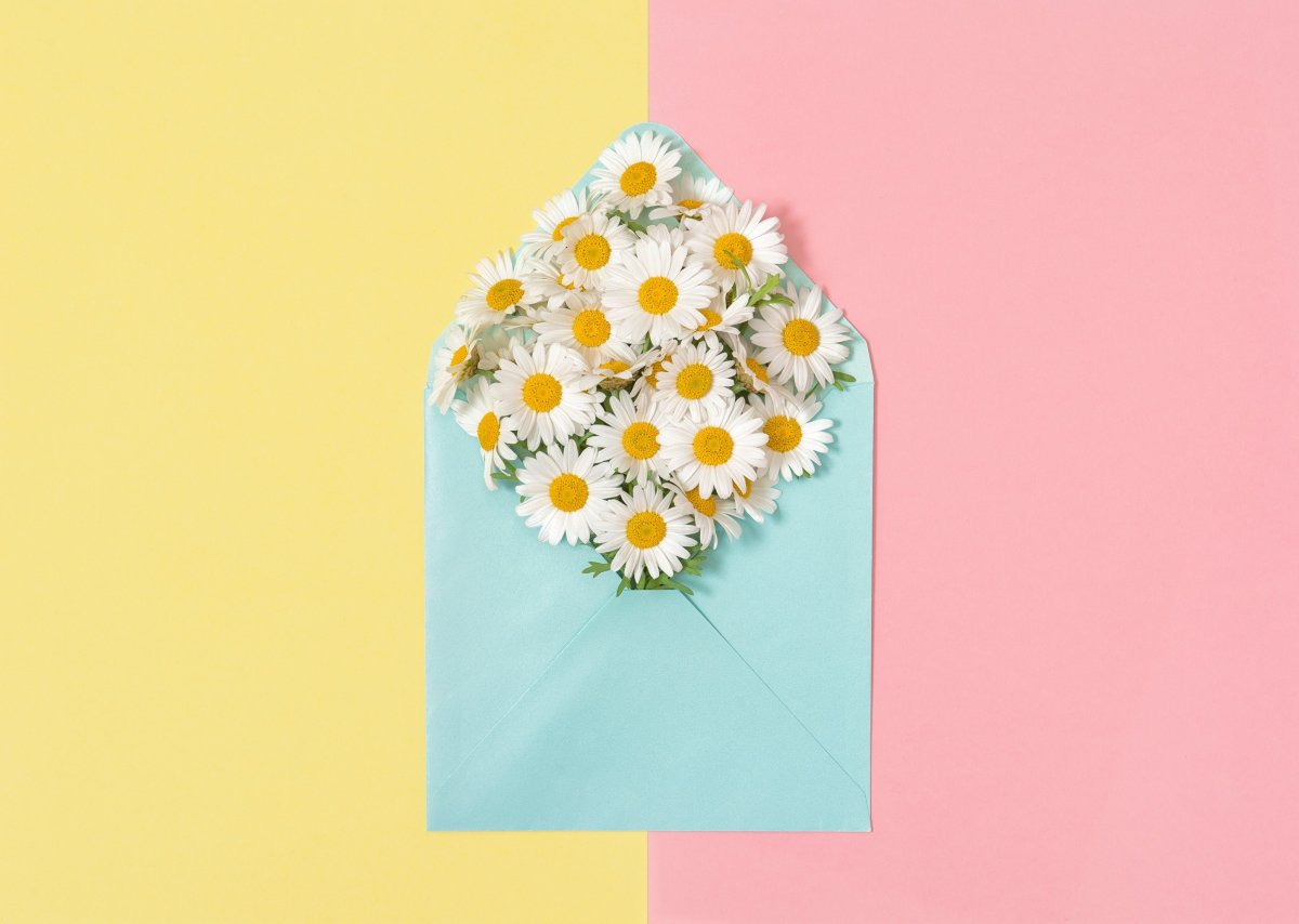 Конверт с ромашками