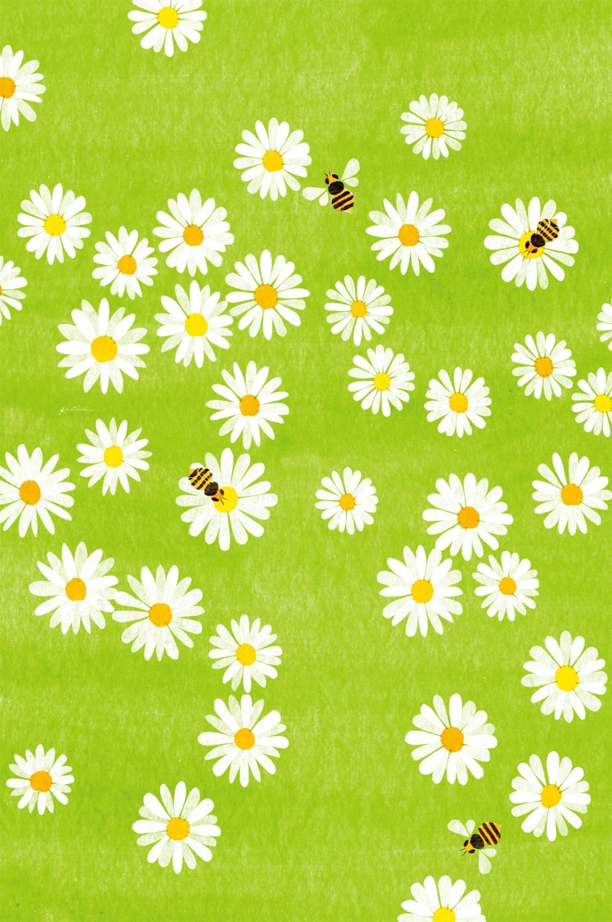 Ромашки на розовом фоне