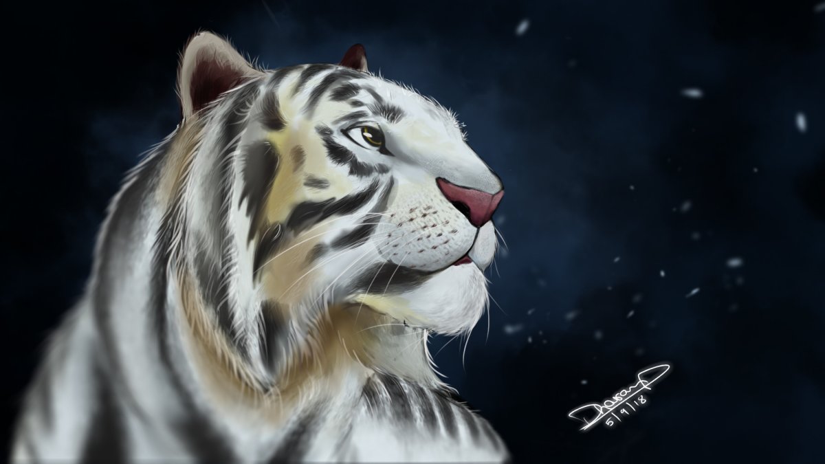 Обои на рабочий стол белый тигр