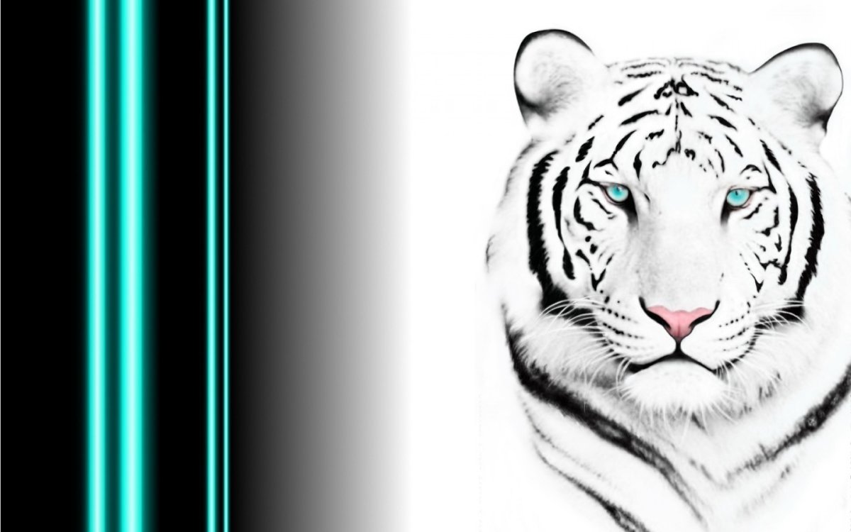 Белый тигр арт
