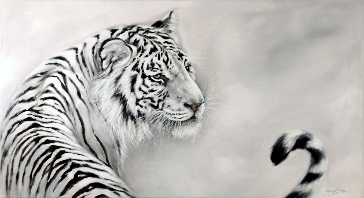 Тигр на белом фоне