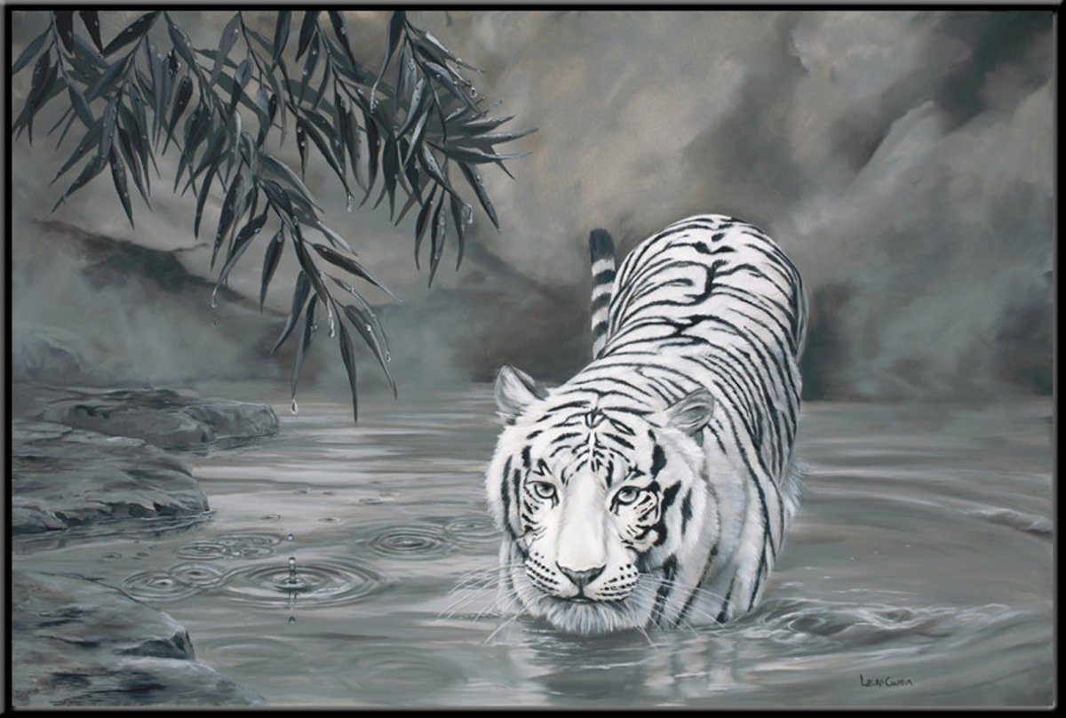 Коллин Богл художник белый тигр