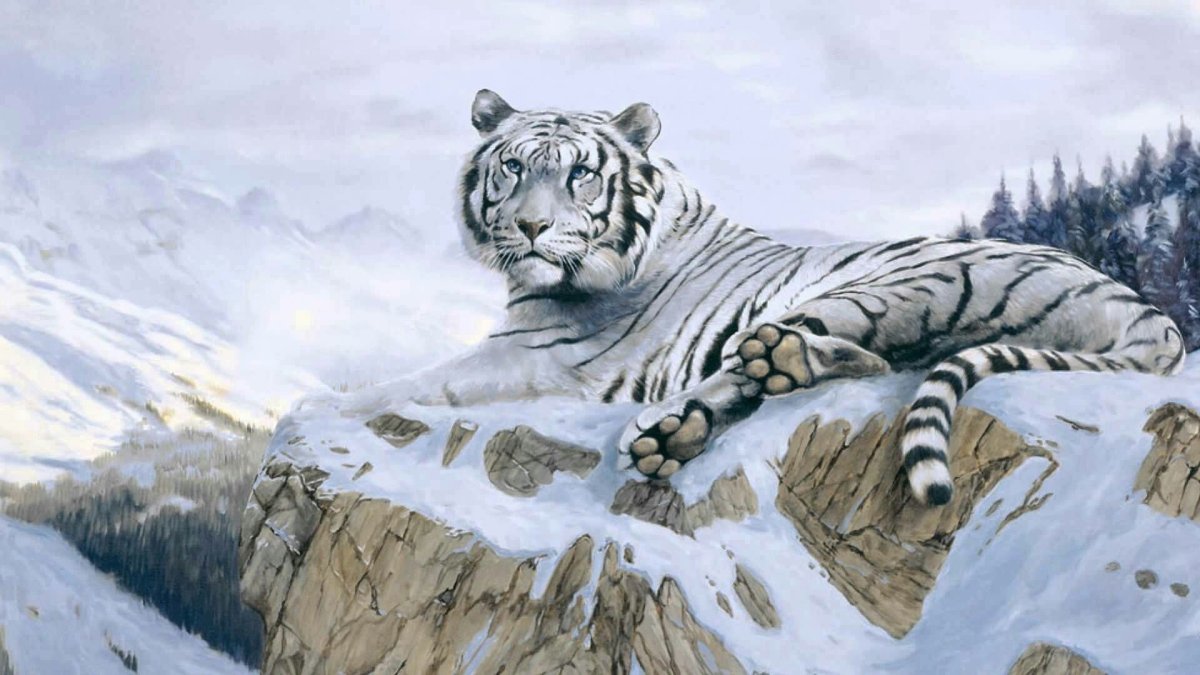 Белый тигр в горах