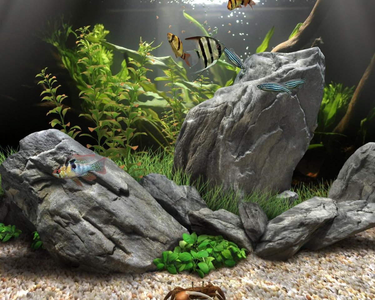 Аквариум 3д