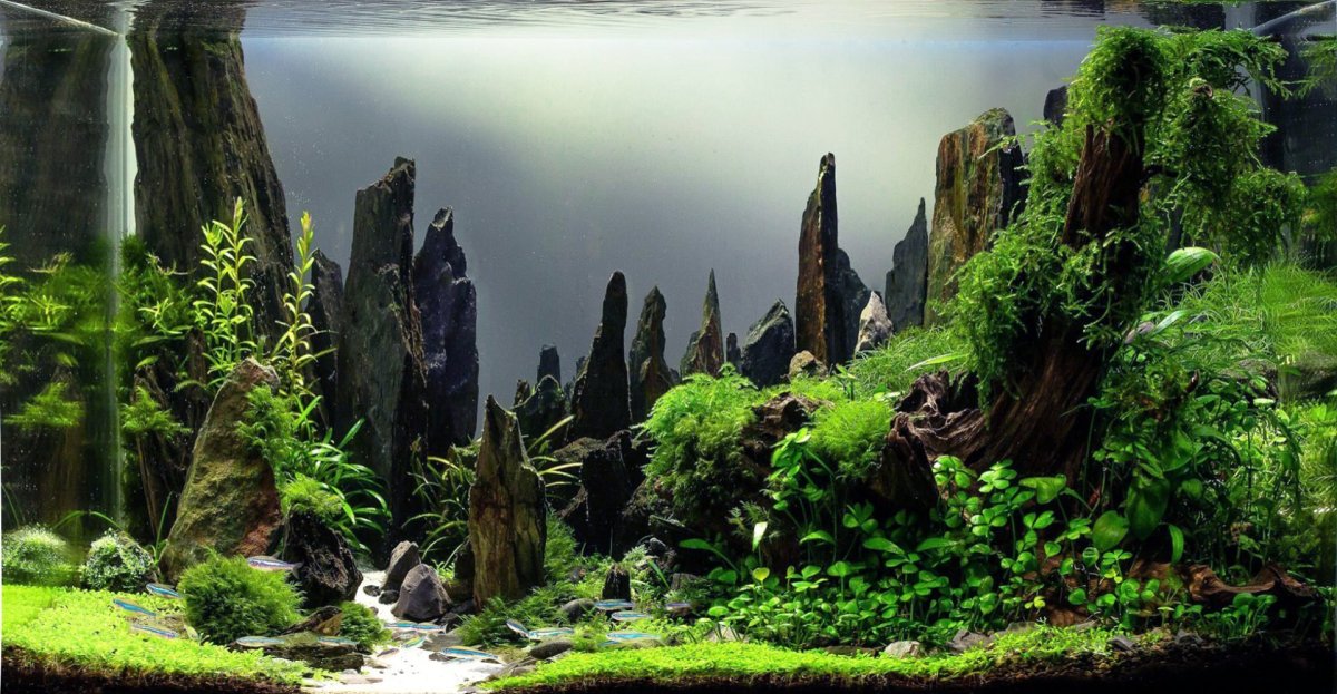 Морской акваскейп