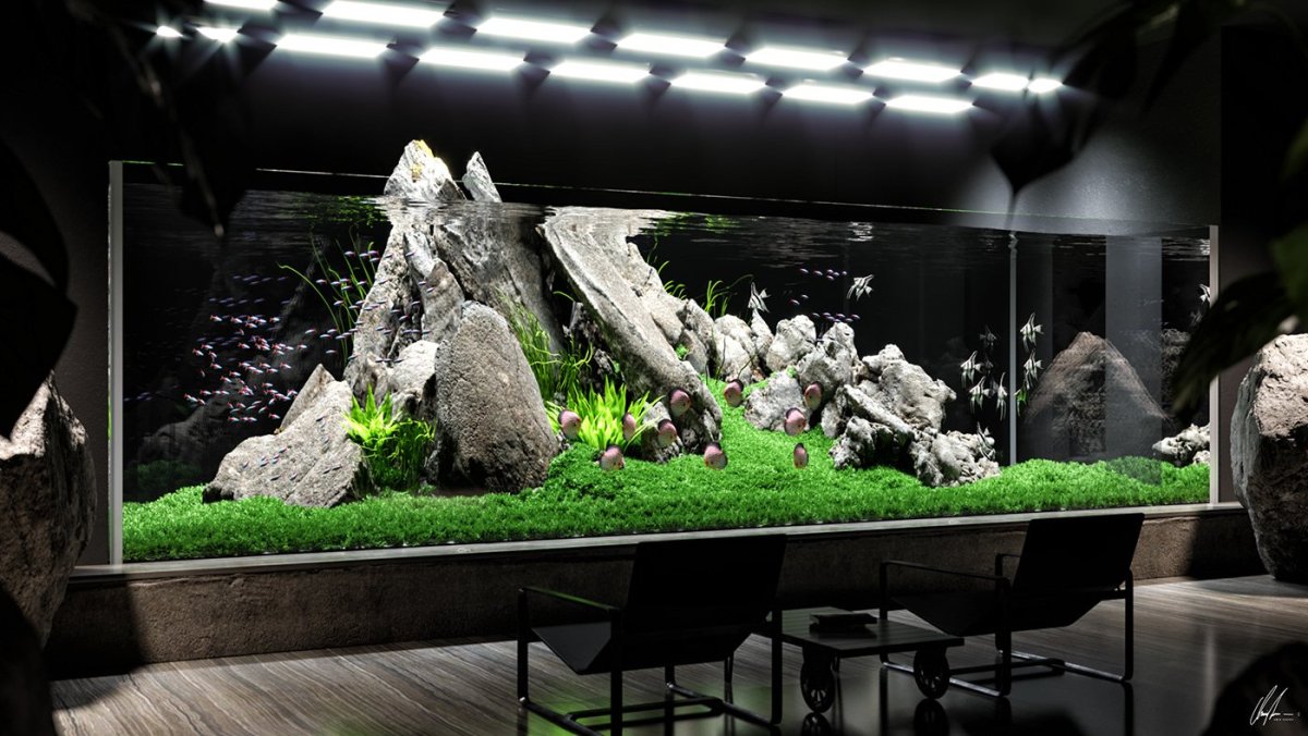 Акваскейп с корягами и камнями