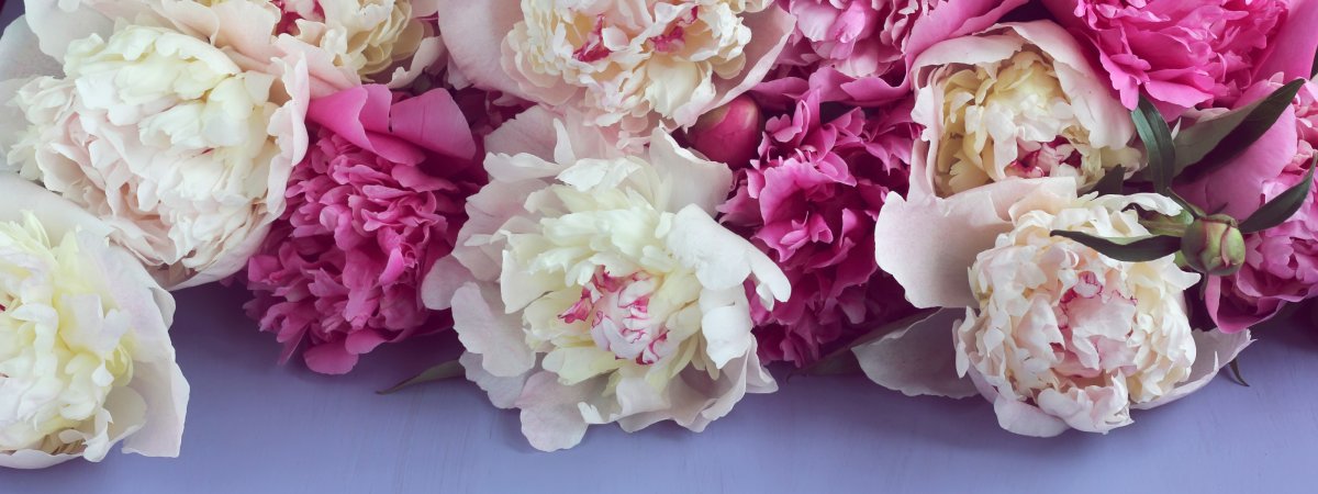 Весна пионы