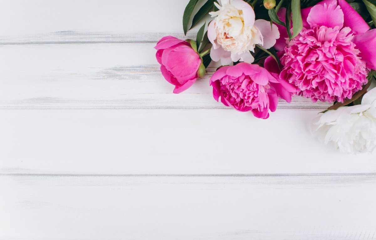 Нежные пионы