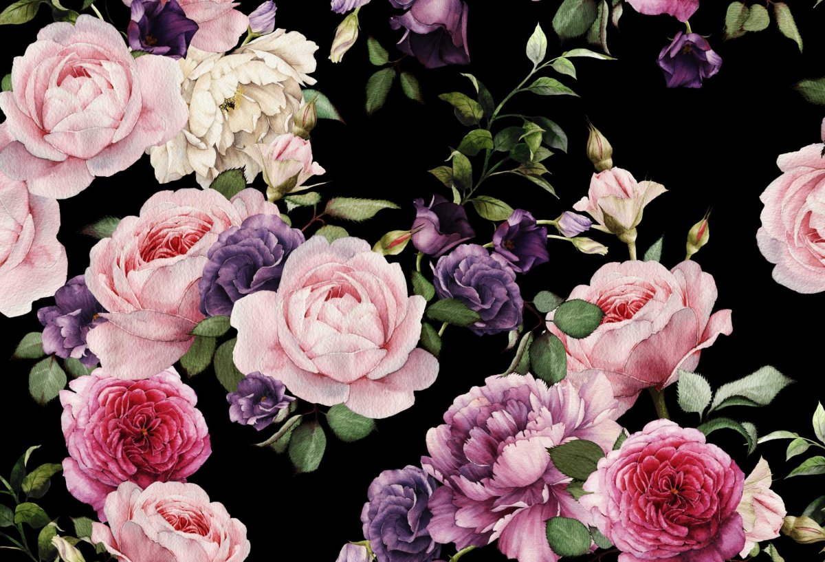 Пионы на черном фоне