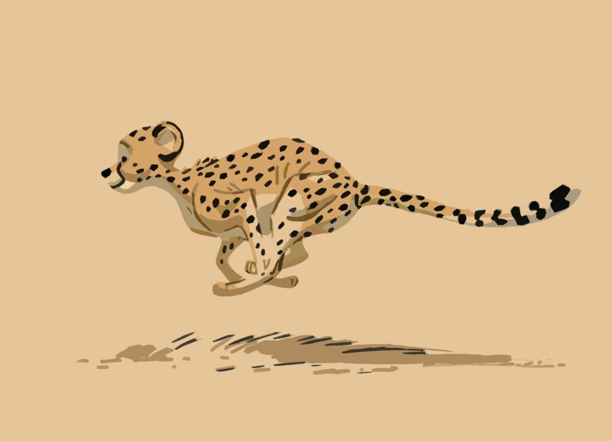Гепард рисунок