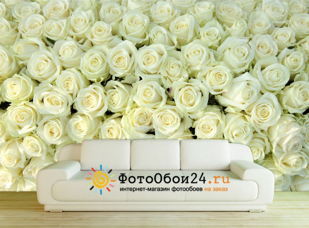Белые розы в комнате