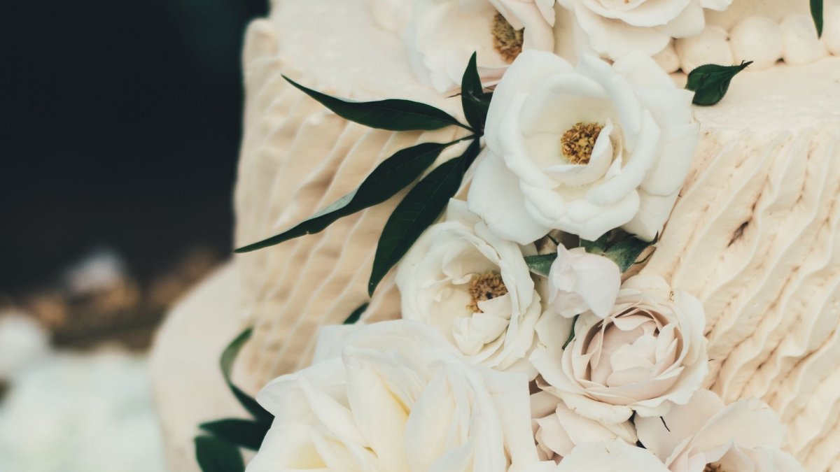 Белые розы Эстетика