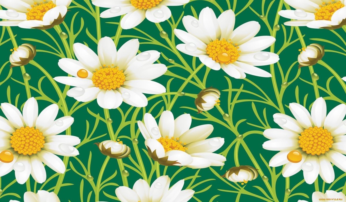 Ромашки на зеленом фоне
