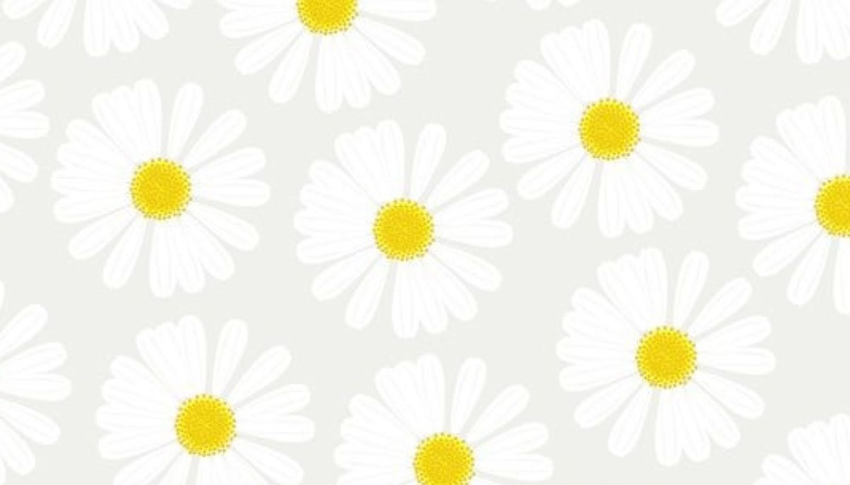 Ромашки фон Минимализм