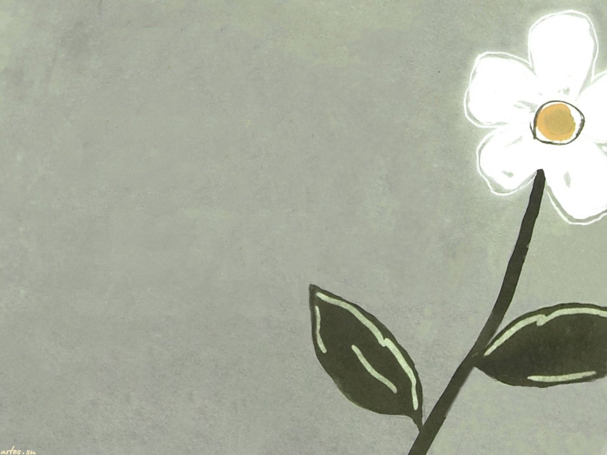 Обои с ромашками Эстетика нарисованные