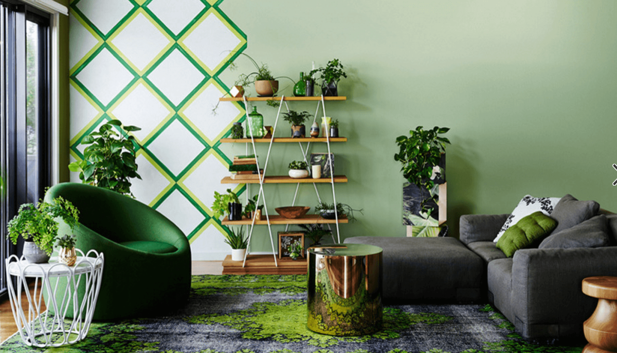 Комната с растениями