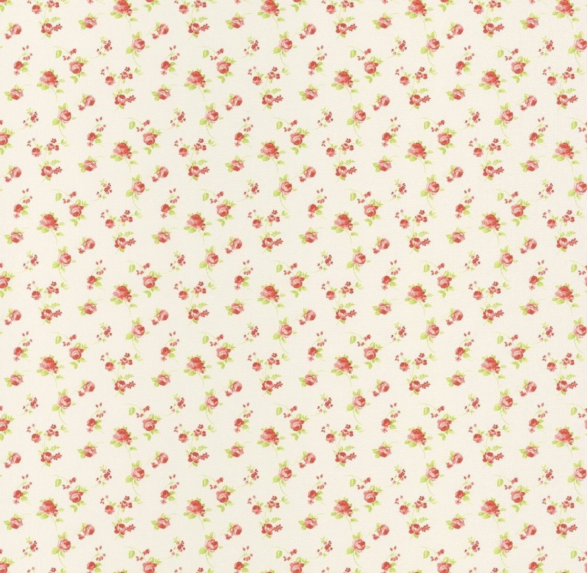 Caselio Ashley 69371088