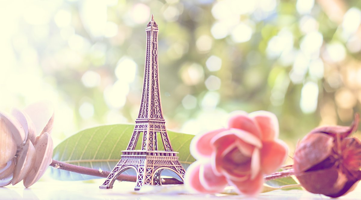 Париж цветы