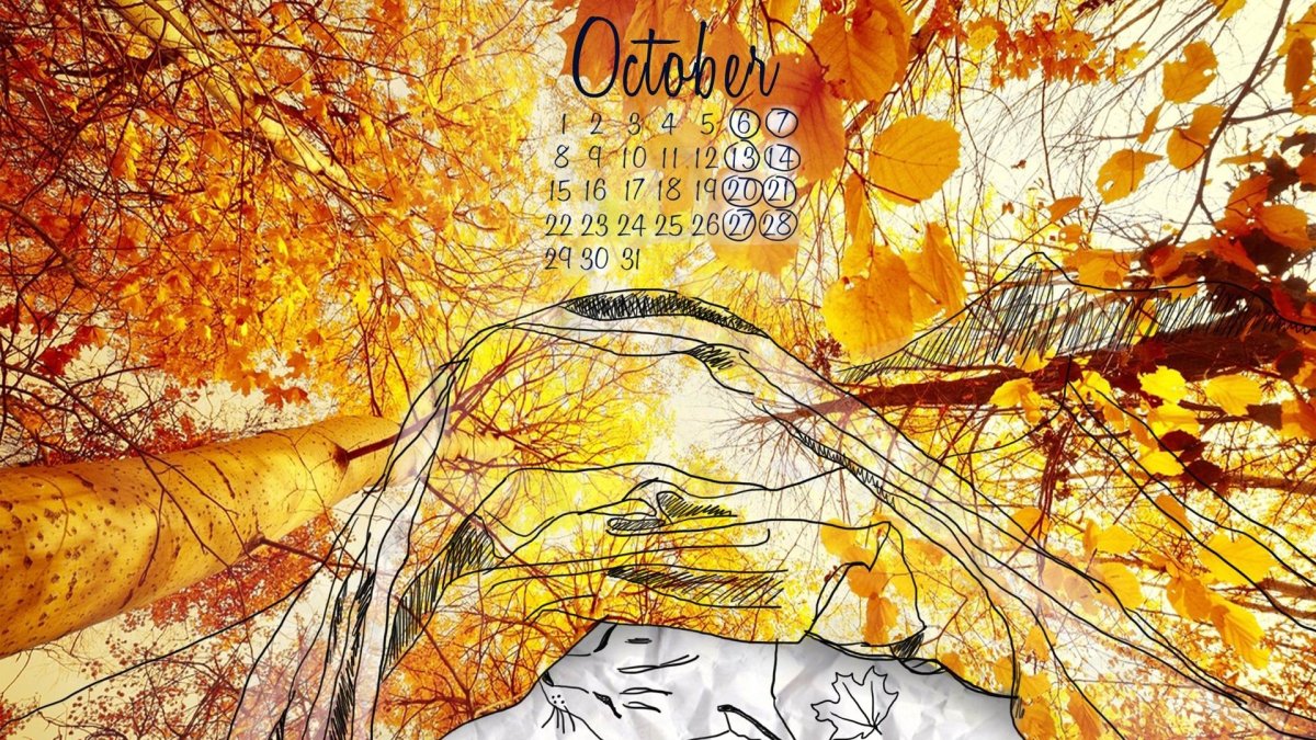 Фон октябрь для календаря