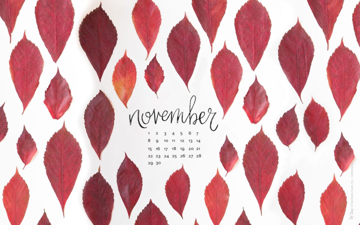 Обои на ноябрь с календарем