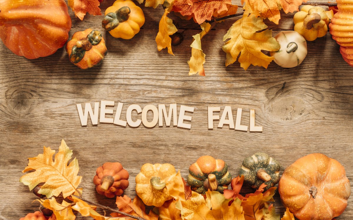 Композиция фон из осенних листьев и тыквы