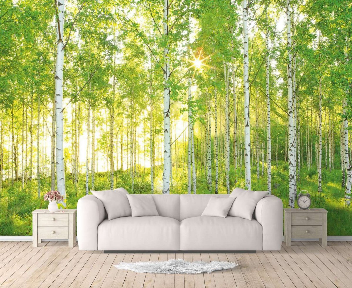 Фотообои березовый лес