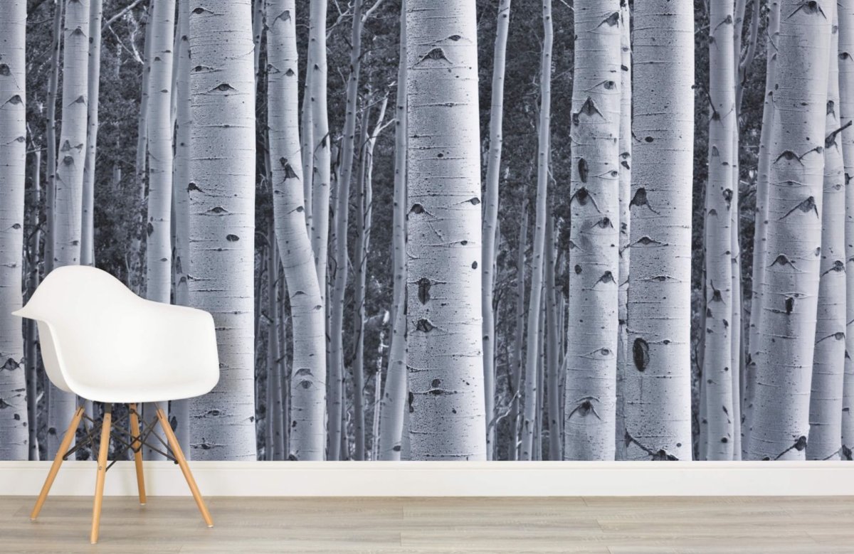 Фреска берёзы Сканди