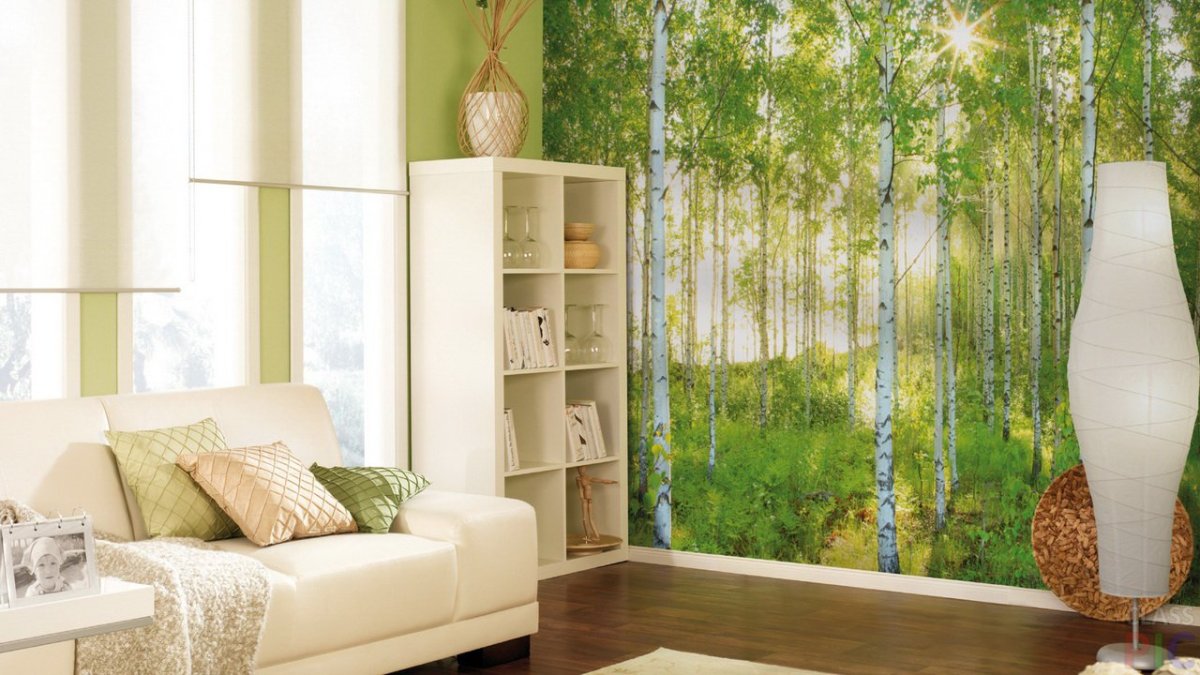 Фотообои 8-519 Komar Березовая