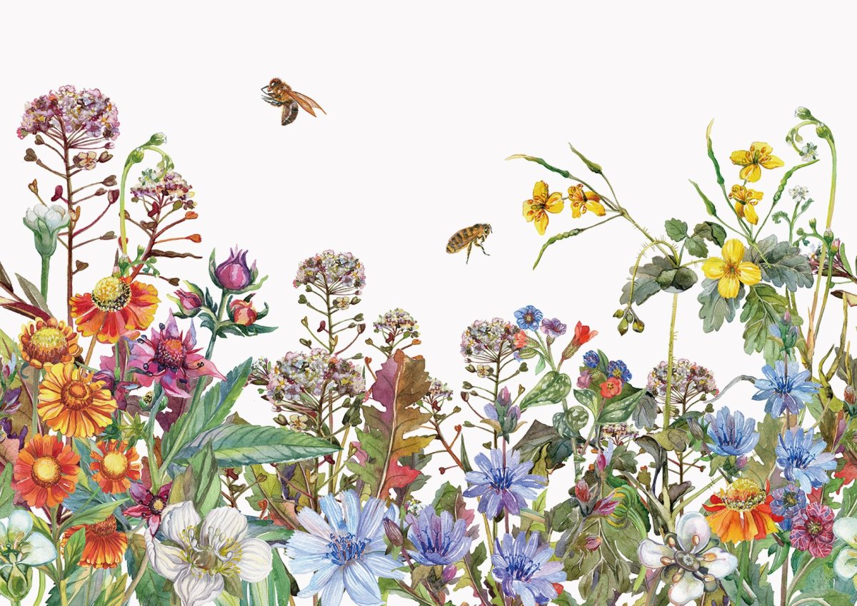 Полевые цветы акварель бордер