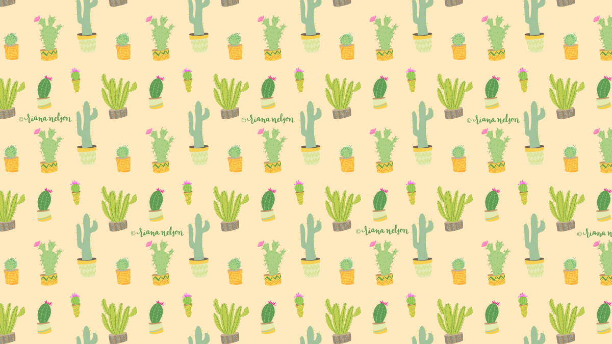 Обои с кактусами