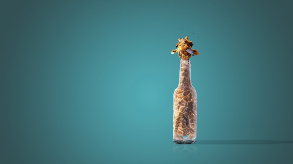 Креативные обои