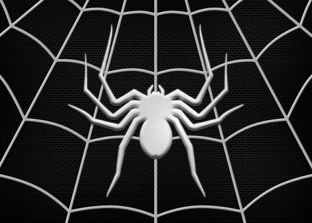 Паутина черная с пауками