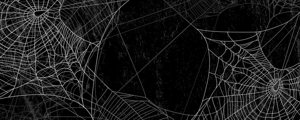 Паутина фон