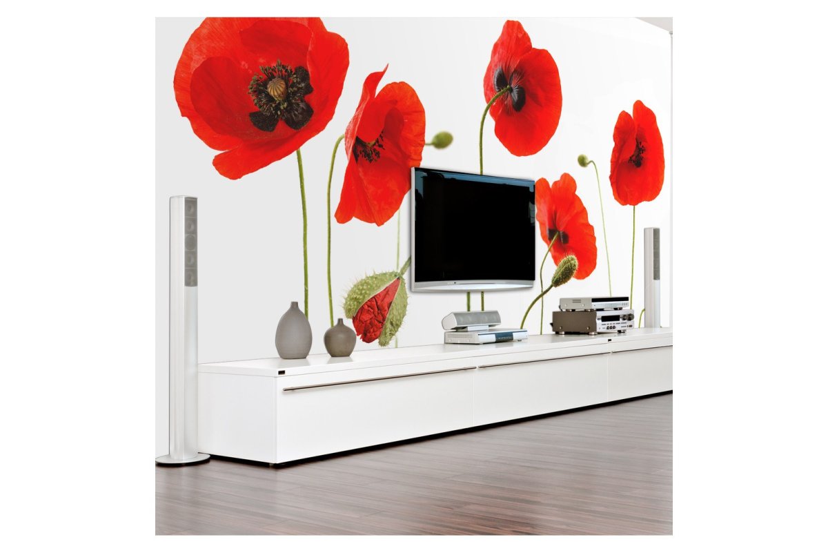 Маки на стене