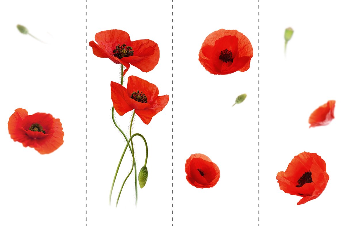 Маки для печати