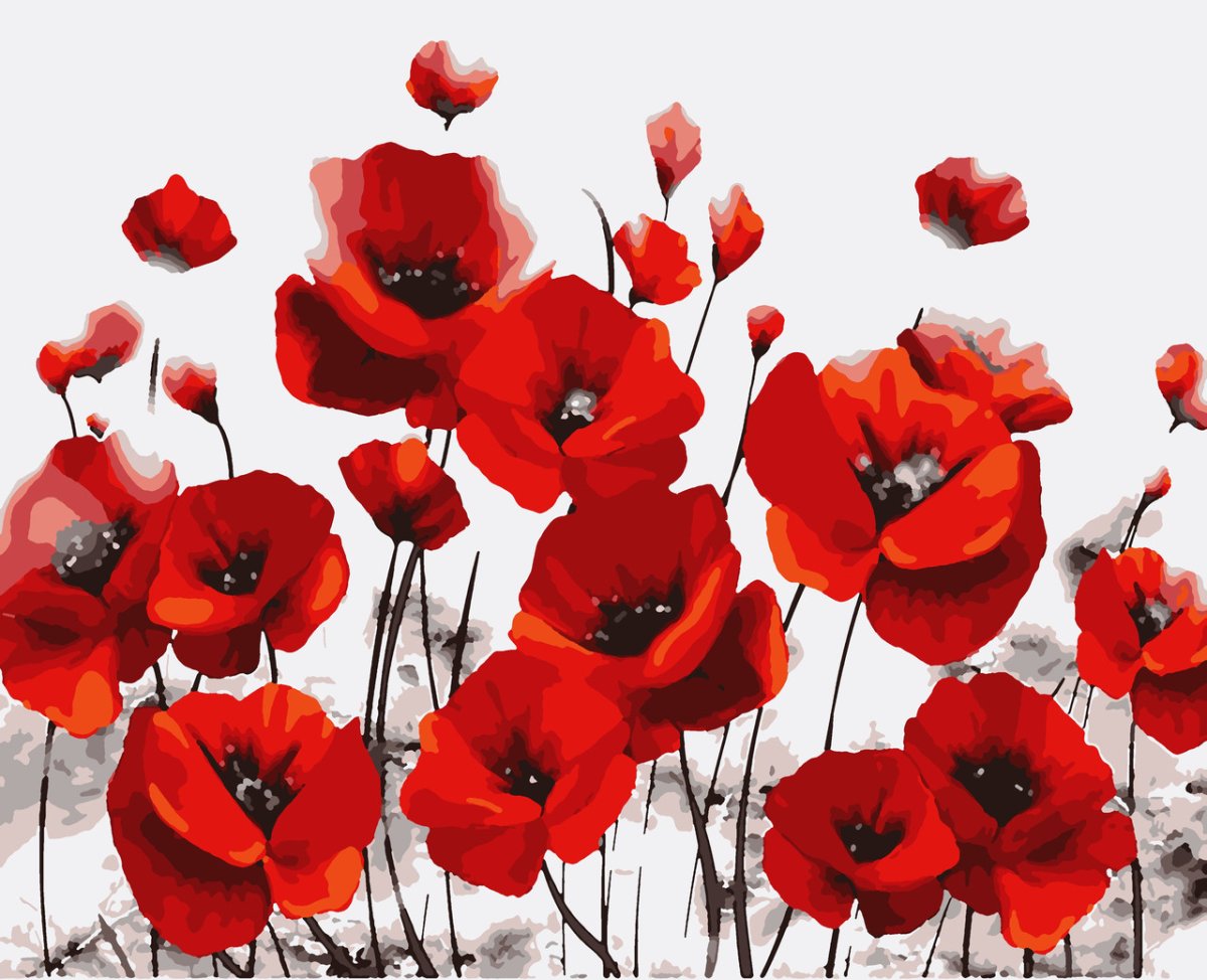 Маки на стене