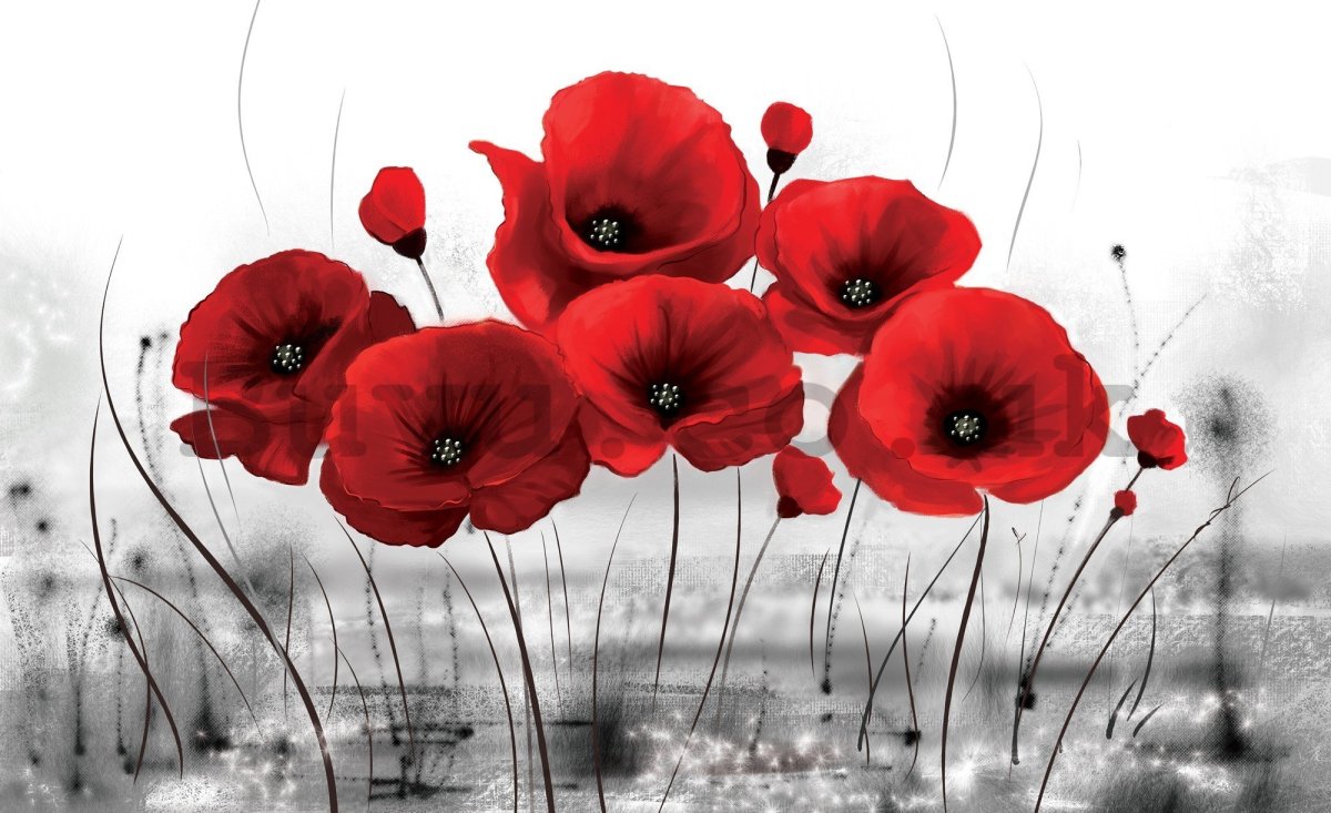 Картина по номерам красные маки