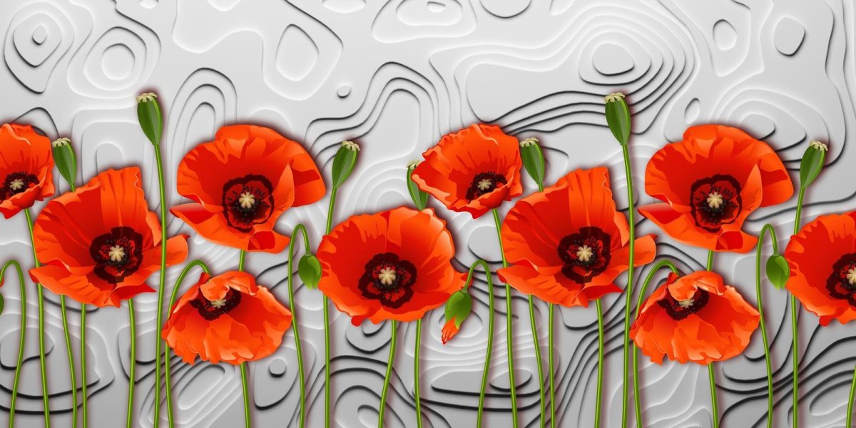 Маки на стене