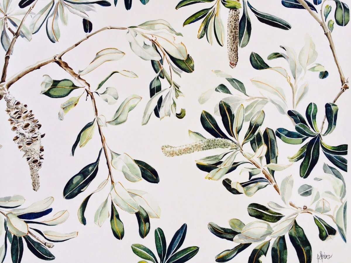 Обои Botanica